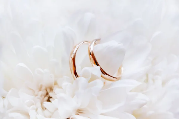 Anéis de casamento dourados encontram-se dentro da flor crisântemo no buquê nupcial. Símbolo de amor e casamento . — Fotografia de Stock