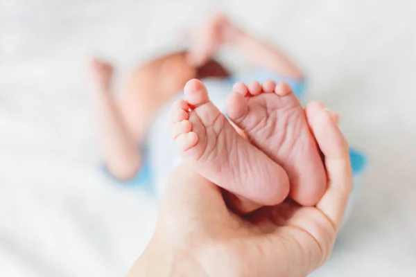 Mamma håller nyfödd bebis bara fötter. Små fötter i kvinna hand. Mysig morgon hemma. — Stockfoto