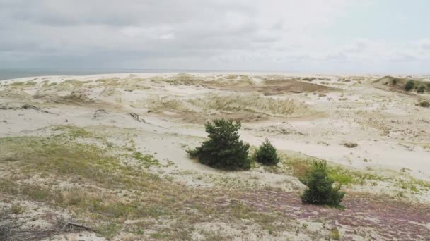 Vista panorâmica aérea em Curonian Spit. Plantas diferentes em dunas de areia. Oblast de Kaliningrado, Rússia . — Vídeo de Stock