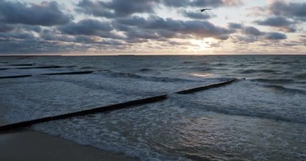낙엽 통나무의 분수령입니다. 해변의 모래를 유지하기 위해 해변을 강화 합니다. 러시아 젤 렌 그라드스 크의 눈부시게 아름다운 일몰. — 비디오