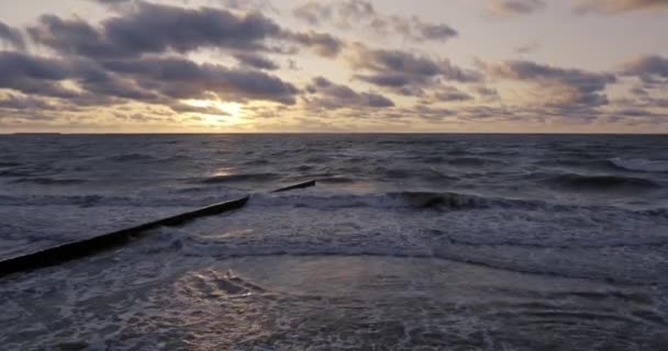 Wellenbrecher aus Lärchenstämmen. Stärkung der Küste, um den Sand am Strand zu halten. wunderschöner Sonnenuntergang in zelenogradsk, russland. — Stockvideo