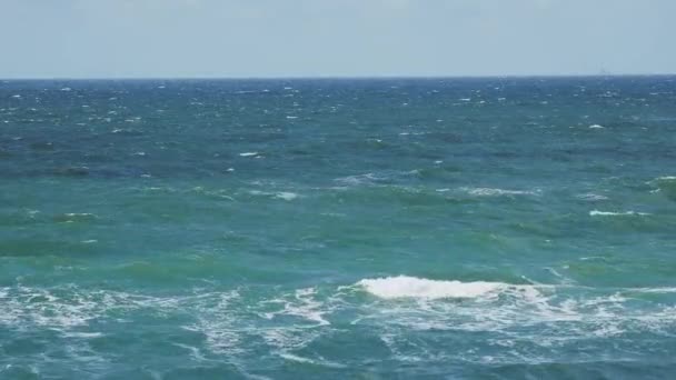 Surfe no mar em Curonian Spit. Grandes ondas no mar Báltico. Oblast de Kaliningrado, Rússia . — Vídeo de Stock