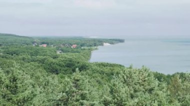 Curonian Spit 'in hava manzarası. Kumlu kumullarda farklı bitkiler. Kaliningrad Oblastı, Rusya.