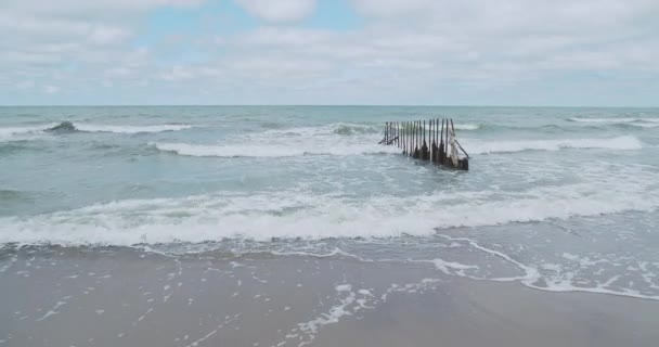 Rompeolas de troncos de alerce. Fortalecer la orilla del mar para mantener la arena en la playa. Zelenogradsk, Rusia . — Vídeos de Stock