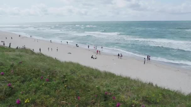 Kaliningrad, russland - 21. juli 2019. spaziergänger am strand der kurischen spucke. — Stockvideo
