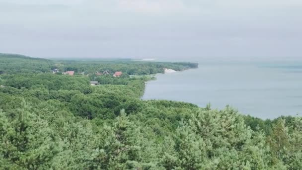 Aerial panorama view on Curonian Spit. Different plants on sandy dunes. Kaliningrad Oblast, Russia. — Stock Video