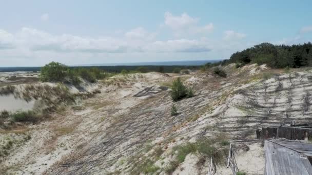 海燕吐痰的空中全景. 沙滩沙丘上的不同植物。 俄罗斯卡里宁格勒州. — 图库视频影像