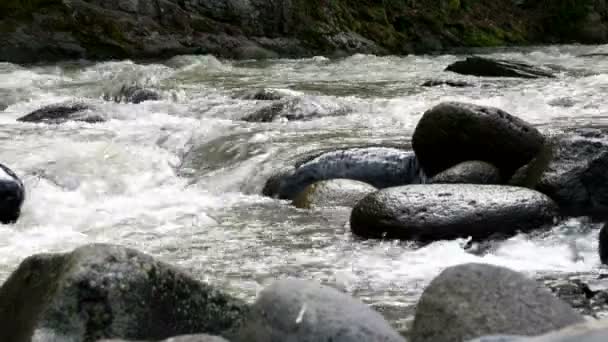 Rapid mountain river flows around Borjomi town, Georgia country. — Stock Video