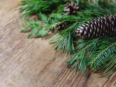 Köknar ağacı, çam ağacı dalları ve konileri olan ahşap bir arka plan. Kopya alanı olan Noel veya Yeni Yıl tatili arkaplanı.