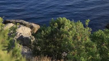 Deniz sörfü. Novy Svet köyündeki Golitsyn yolu yakınlarındaki kayalık sahilde sakin dalgalar esiyor. Kırım.