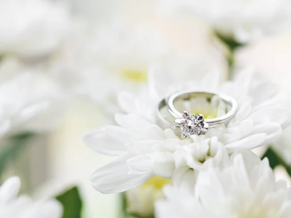 Obrączki ślubne i zaręczynowe z diamentem na białym chryzantemie. Symbol miłości i małżeństwa na białym tle. — Zdjęcie stockowe