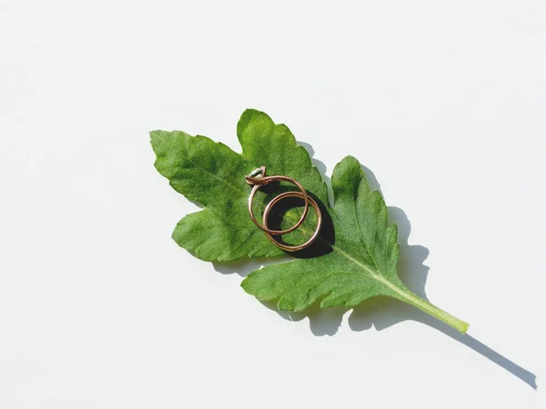 Pair of wedding and engagement rings with diamond on green leaf. Symbol of love and marriage on white background with copy space. — Stock Photo, Image