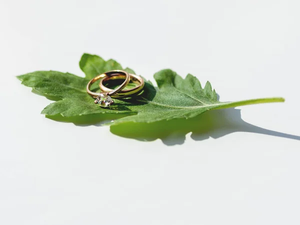 Pair of wedding and engagement rings with diamond on green leaf. Symbol of love and marriage on white background with copy space. — Stock Photo, Image