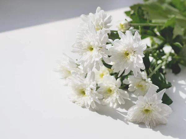 Bouquet de fleurs de chrysanthème couché sur le rebord blanc de la fenêtre. Matin ensoleillé dans une maison confortable . — Photo