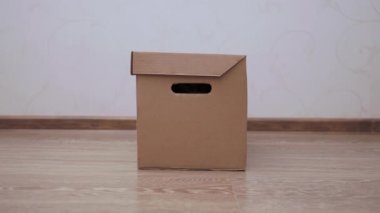 Tatlı kızıl kedi karton kutuda saklanıyor. Yumuşak evcil hayvan saklambaç oynuyor ve delikten bakıyor..