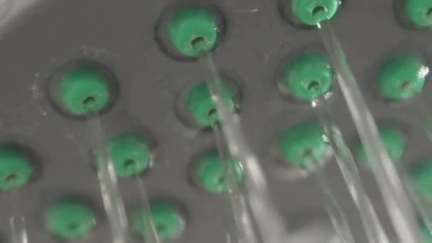 Des cours d'eau. Vue rapprochée de la pomme de douche en métal dans la salle de bain blanche. Équipement de plomberie de travail . — Video