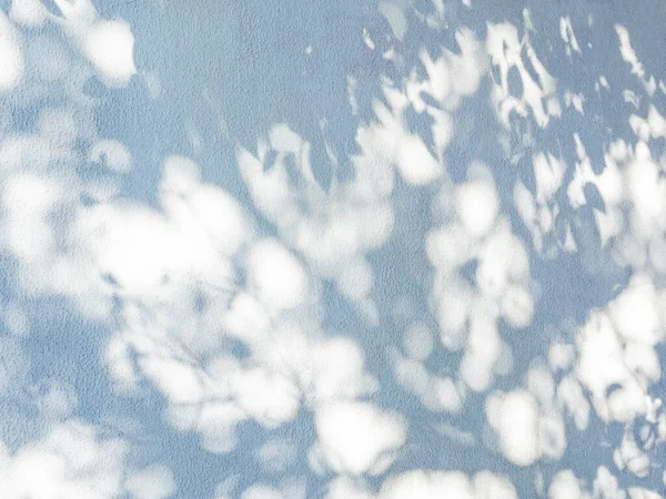 Lacy Árnyékok Pálmafákról Kék Falon Absztrakt Háttér Egy Szép Textúra — Stock Fotó