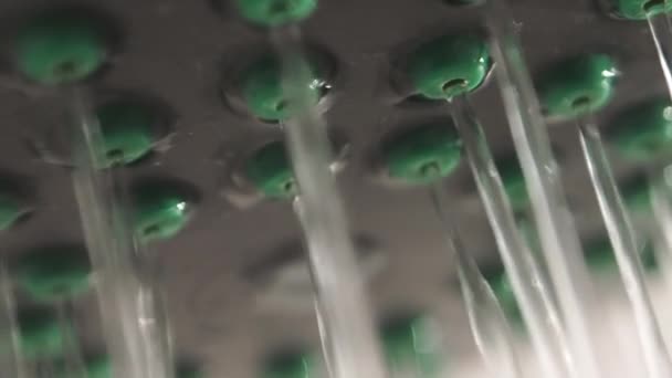 Des cours d'eau. Vue rapprochée de la pomme de douche en métal dans la salle de bain blanche. Équipement de plomberie de travail . — Video