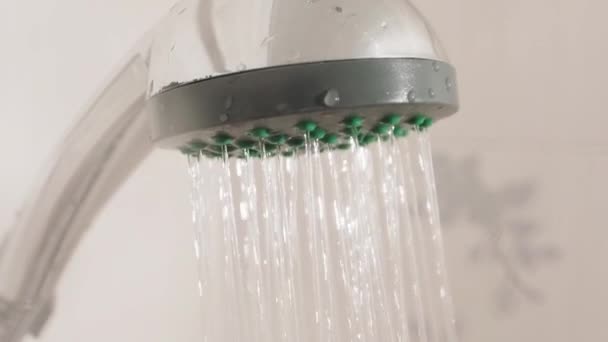 Water streams. Metal shower head in white bathroom. Working plumbing equipment. — Stock Video