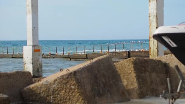 Fila di gabbiani su una costruzione arrugginita sul mare surf. Uccelli bianchi. Sochi, Russia . — Video Stock