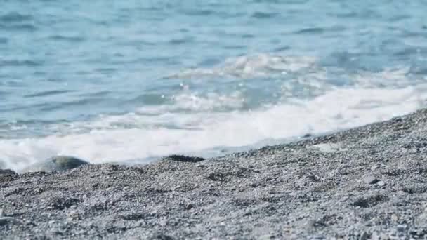 Zee surfen op rotsachtig strand. Rustige natuurlijke achtergrond op zonnige dag. Zwarte zee, Sotsji, Rusland. — Stockvideo