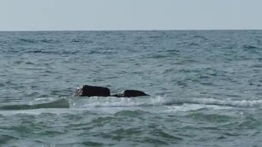 Deniz manzaralı güzel bir hava. Sahilden deniz manzarası. Soçi, Rusya.