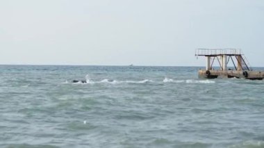 Deniz manzaralı güzel bir hava. Sahilden eski paslı iskelenin manzarası. Soçi, Rusya.