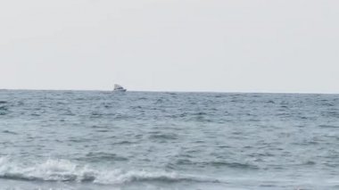Deniz manzaralı güzel bir hava. Sahilden hareket eden sürat teknesinin görüntüsü. Soçi, Rusya.