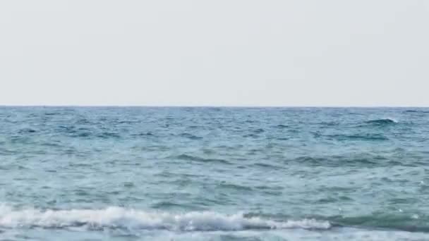 Paysage marin par beau temps. Vue sur la mer depuis la plage. Sotchi, Russie . — Video