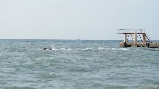 Paisaje marino con buen tiempo. Vista del viejo muelle oxidado desde la playa. Sochi, Rusia . — Vídeos de Stock