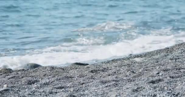 Zee surfen op rotsachtig strand. Rustige natuurlijke achtergrond op zonnige dag. Zwarte zee, Sotsji, Rusland. — Stockvideo