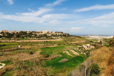 Tarım alanlarının panorama manzarası. Mdina, Malta çevresindeki topraklara hava manzarası.