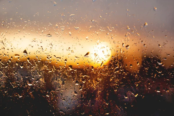 Sunset through window with raindrops after rain. Nature background with bright orange sun beams through wet glass.