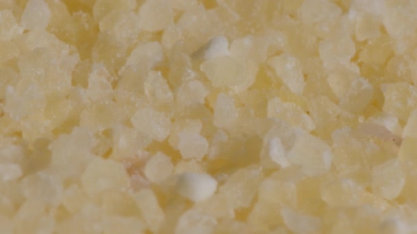 Tiny beetles in semolina. Macro footage with insects in food. — Stock Video