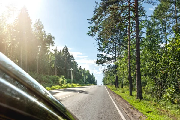 Road trip across home country because of travel ban - prohibition on journey abroad. Domestic tourism. Car moves on road through sunny summer forest.