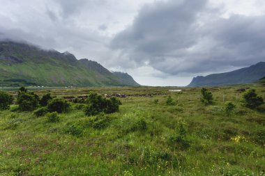 Çayırları, dağları ve fırtınalı gökyüzü olan güzel bir İskandinav manzarası. Lofoten Adaları, Norveç.