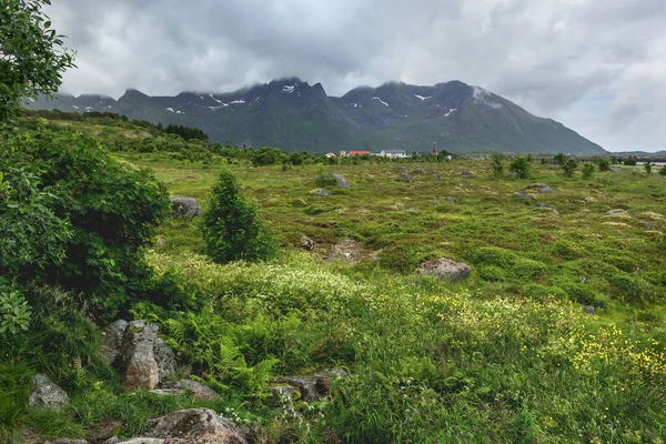 Prachtig Scandinavisch Landschap Met Weilanden Bergen Dorp Lofoten Noorwegen — Stockfoto