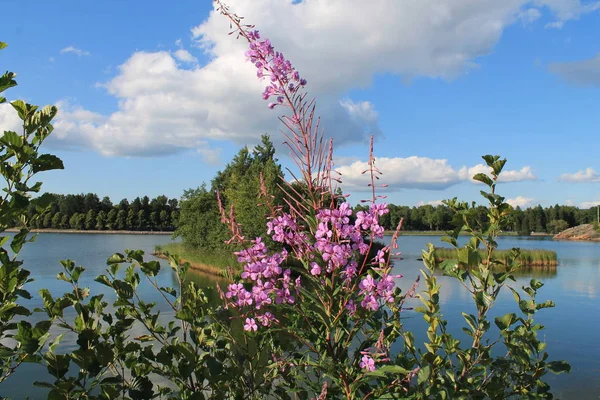 Lapinlahti Bay, Helsinki küçük ada