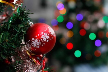 Kırmızı Top Noel ağacı üzerinde