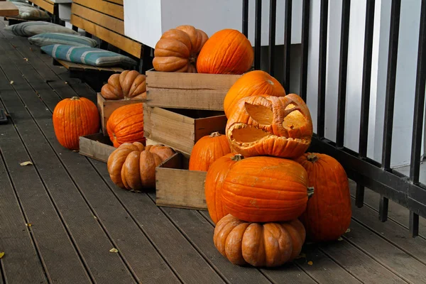 Bodegón de Halloween con calabazas —  Fotos de Stock