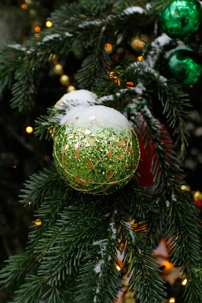 Green ball hanging on a branch. — Stock Photo, Image