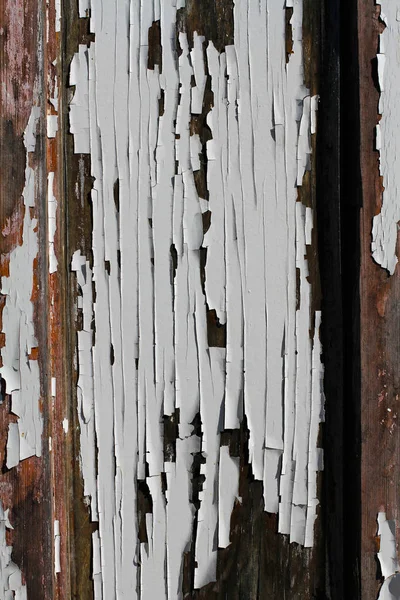 Pintura blanca vieja con grietas en la pared de madera — Foto de Stock