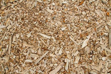 Ahşap talaş arka plan veya doku