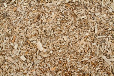 Ahşap talaş arka plan veya doku