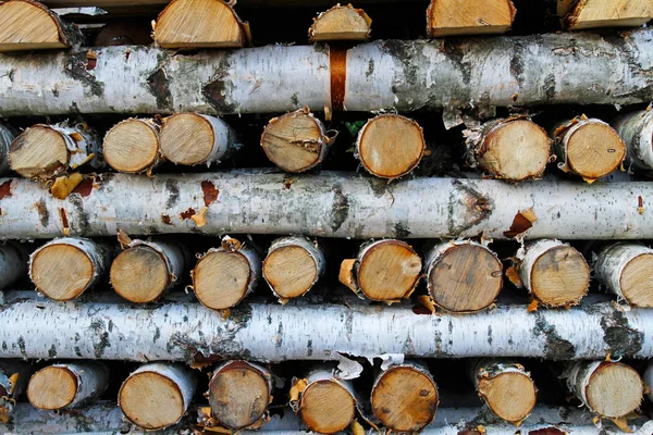 Wood texture background of cut logs — Stock Photo, Image