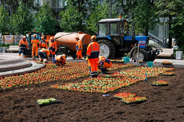Werknemers rode begonias aanplant in het bed van de bloem op de straat in Moskou — Stockfoto