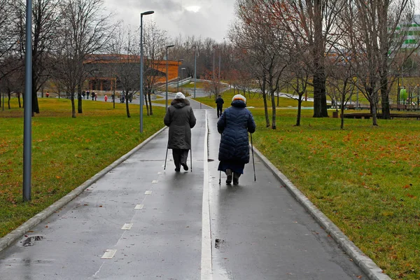 Zwei Seniorinnen wandern in der Herbstsaison im Park - Nordic Walking — Stockfoto