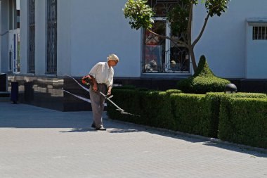 Kırpma çalılar ile benzin teleskopik hedge düzeltici Volgograd sokakta adamdır