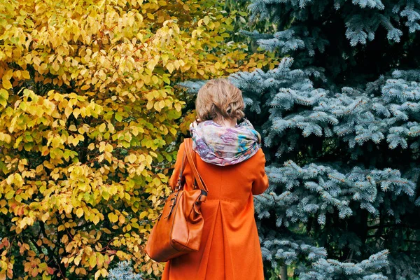 Achteraanzicht van vrouw nemen van foto's aan de takken in het park. — Stockfoto