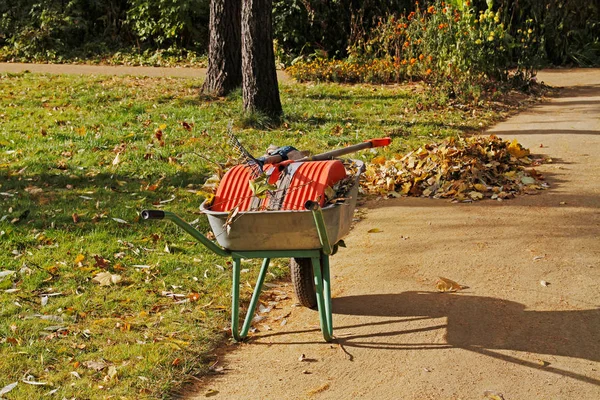 El arabası Park Bahçe aletleri ve yaprakları dolu